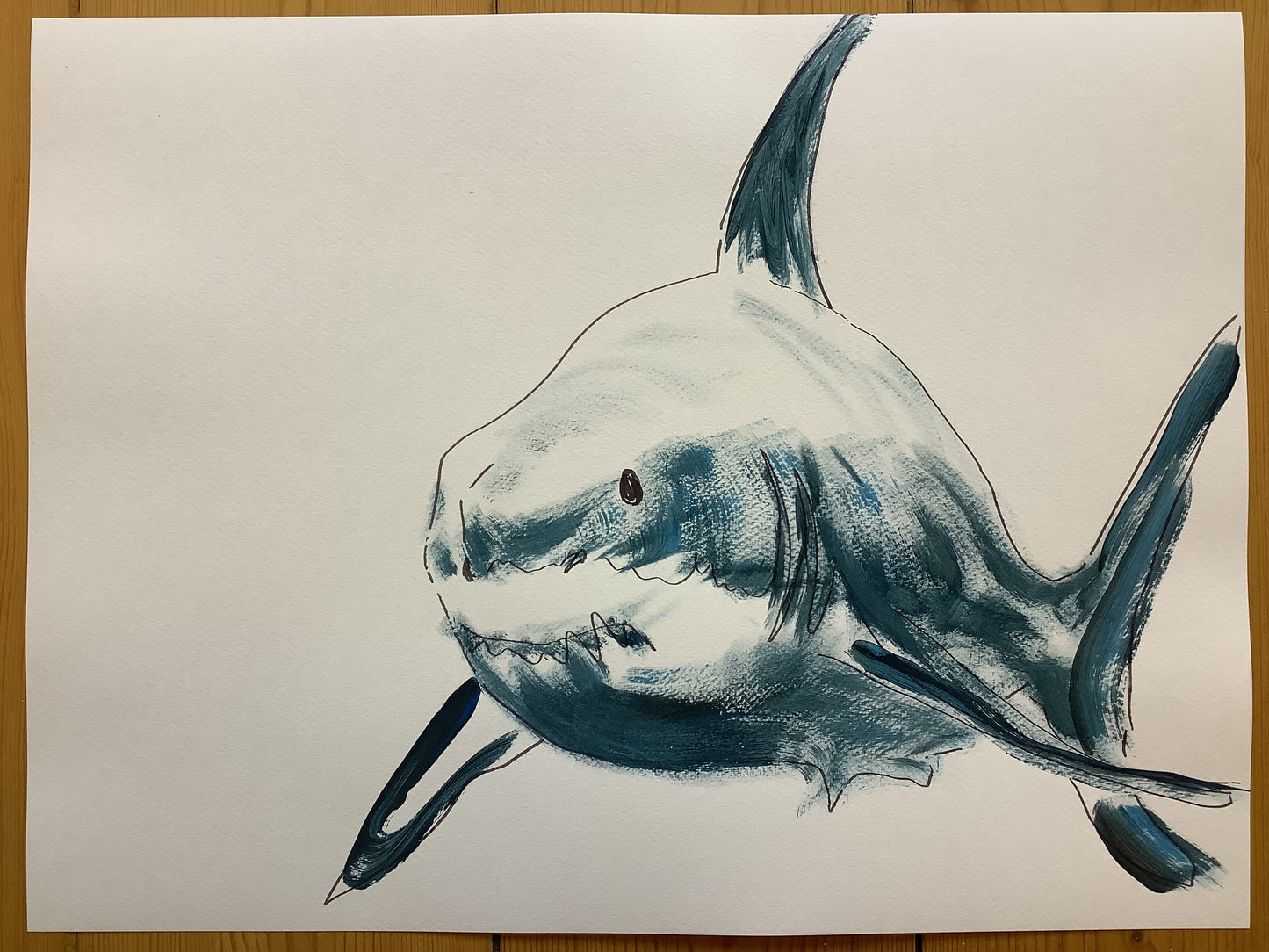 2023 freundlicher denkender Hai - 48cm x 36cm