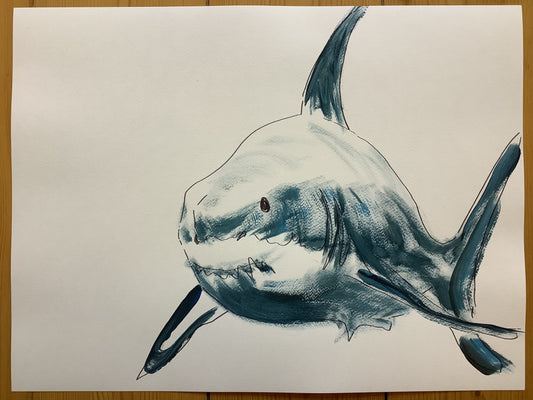 freundlicher denkender Hai - 48cm x 36cm